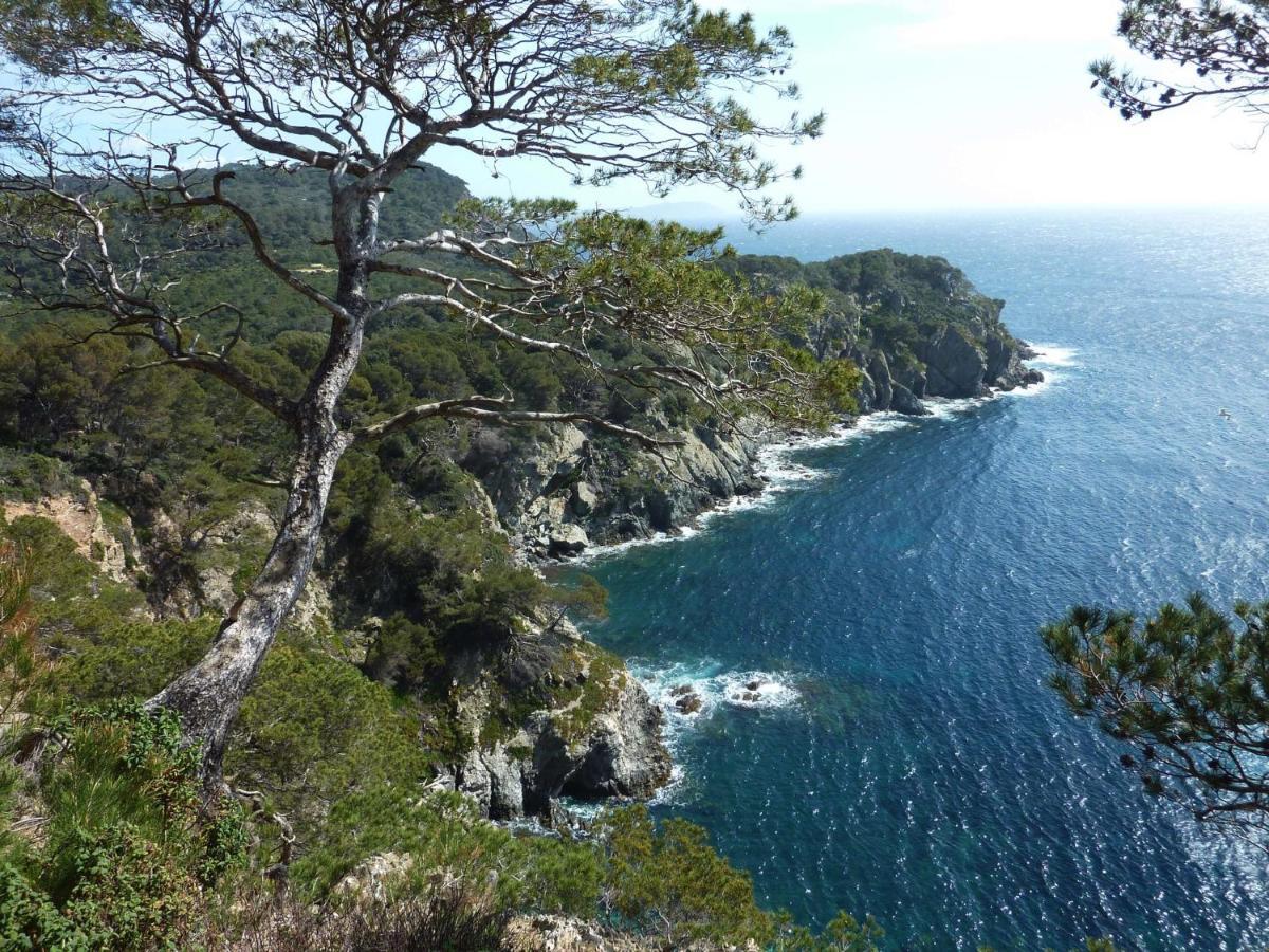 Hotel Le Mediterranee Hyères Zewnętrze zdjęcie